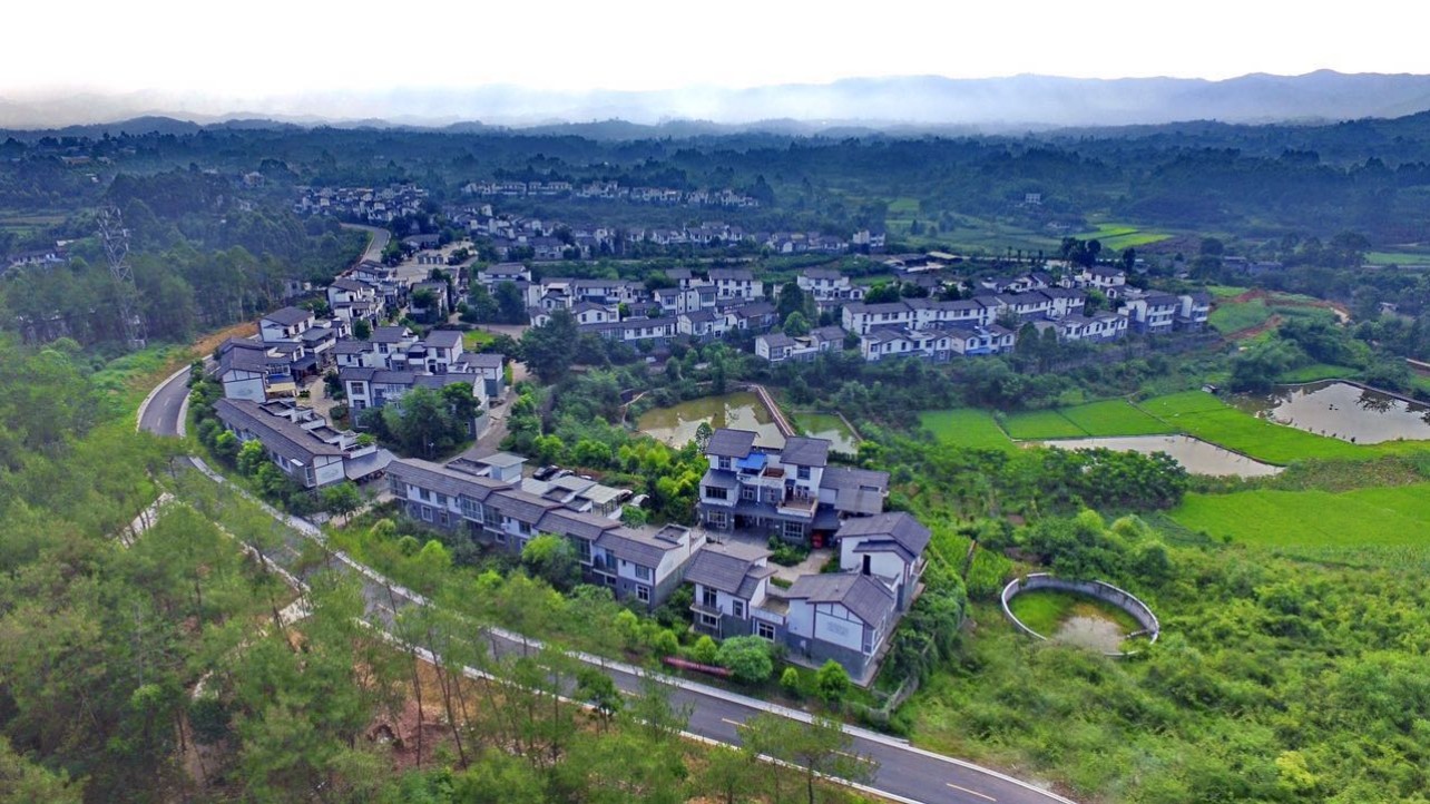 885.jpg