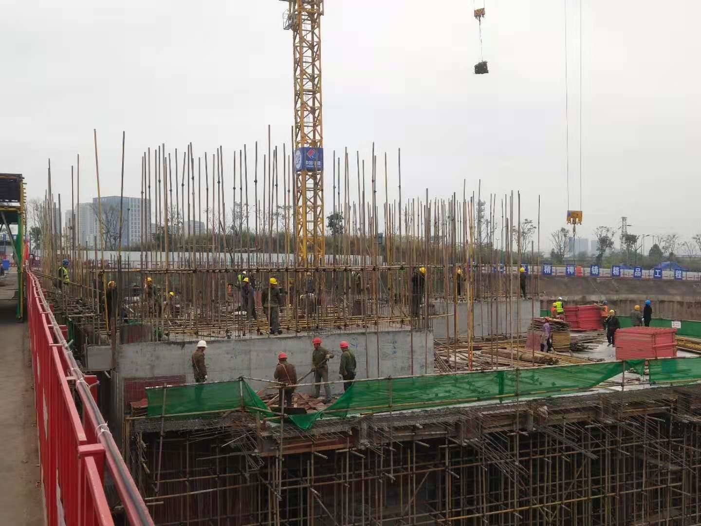 20.jpg